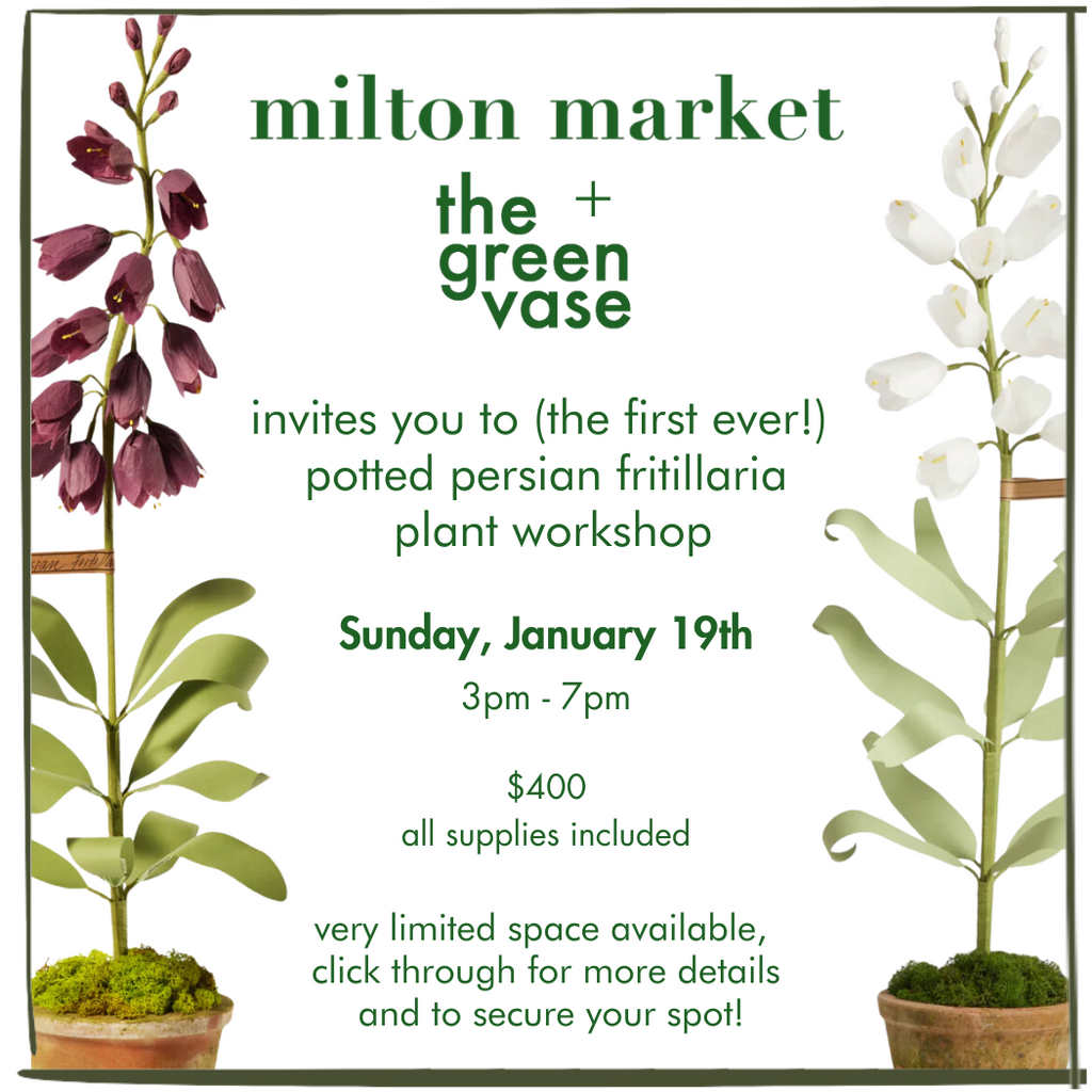 potted plant workshop with The Green Vase