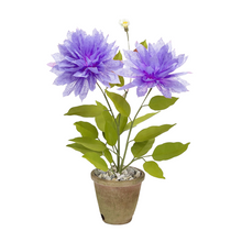 Load image into Gallery viewer, The Green Vase potted dahlia