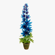 Load image into Gallery viewer, The Green Vase potted delphinium