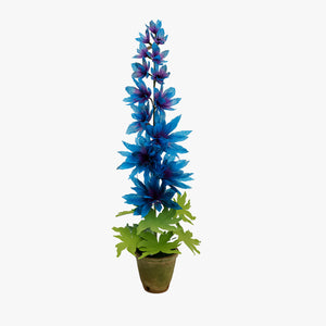 The Green Vase potted delphinium