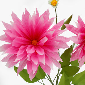 The Green Vase potted dahlia