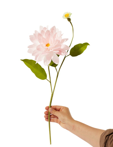 The Green Vase workshop - DAHLIA STEM