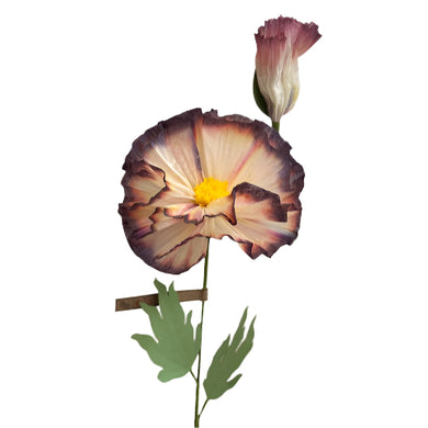 The Green Vase poppy with bud stem
