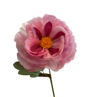 The Green Vase tree peony stem