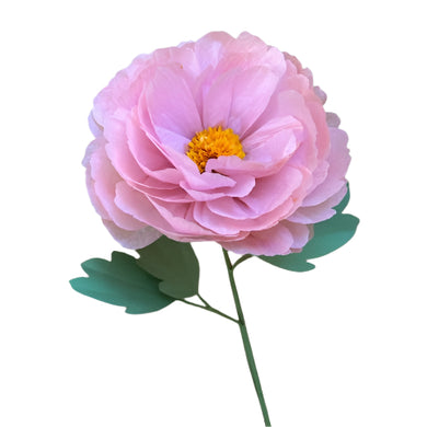 The Green Vase peony stem