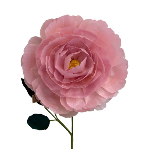 The Green Vase floribunda rose stem