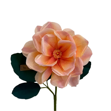 The Green Vase garden rose stem