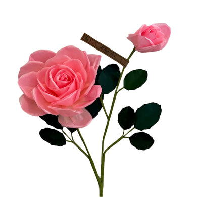 The Green Vase St. Regis rose stem with bud