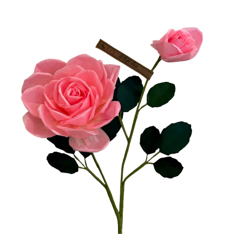 The Green Vase St. Regis rose stem with bud