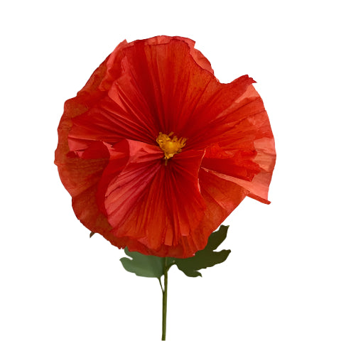 The Green Vase poppy stem