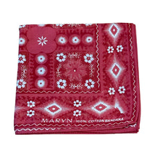 Load image into Gallery viewer, MARYN 02 scarf