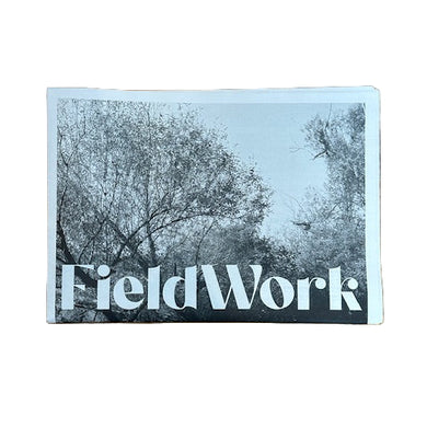 FieldWork vol. 1