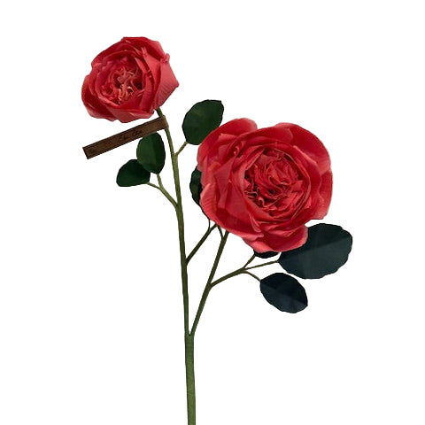 The Green Vase eden rose with bud stem