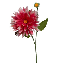 Load image into Gallery viewer, The Green Vase dahlia stem with bud