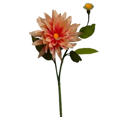 The Green Vase dahlia stem with bud