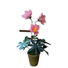 Load image into Gallery viewer, The Green Vase potted hellebore plant