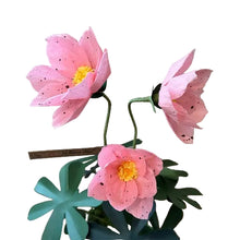 Load image into Gallery viewer, The Green Vase potted hellebore plant