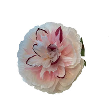 Load image into Gallery viewer, The Green Vase potted peony plant