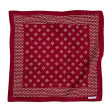 Load image into Gallery viewer, MARYN 01 scarf