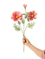 The Green Vase workshop - COSMO STEM