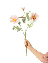 Load image into Gallery viewer, The Green Vase workshop - COSMO STEM