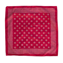 Load image into Gallery viewer, MARYN 01 scarf