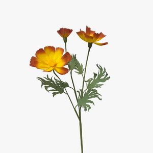 The Green Vase cosmo stem