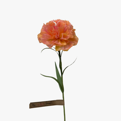 The Green Vase carnation stem