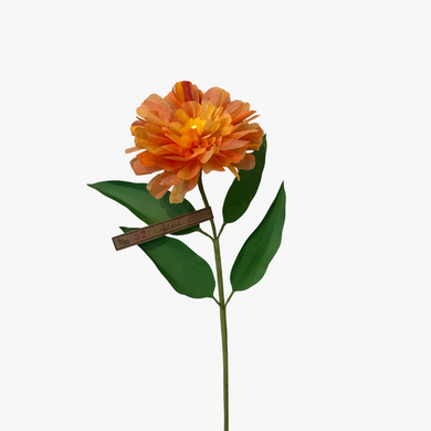 The Green Vase zinnia stem