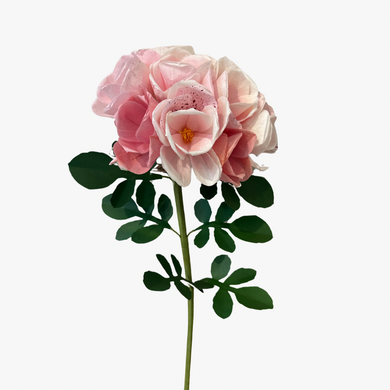 The Green Vase rambling rose stem