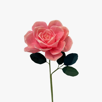 The Green Vase St. Regis rose stem