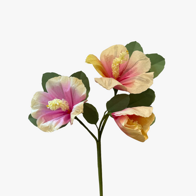 The Green Vase hibiscus stem