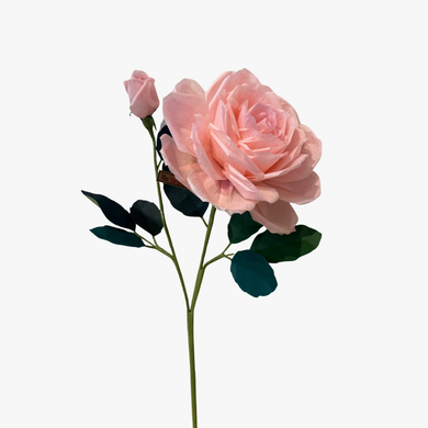 The Green Vase St. Regis rose stem with bud