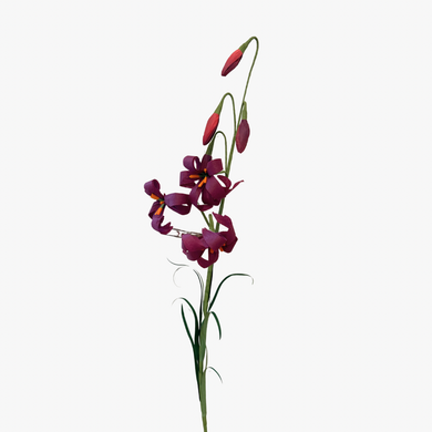 The Green Vase martagon lily stem