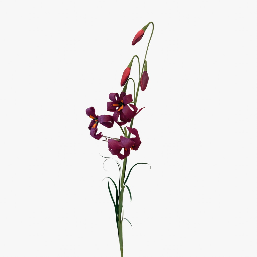 The Green Vase martagon lily stem