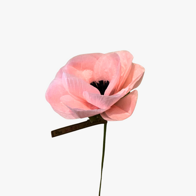 The Green Vase anemone stem