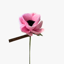 Load image into Gallery viewer, The Green Vase anemone stem