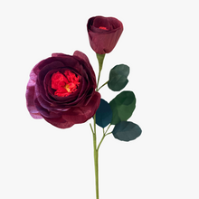 Load image into Gallery viewer, The Green Vase eden rose stem with bud
