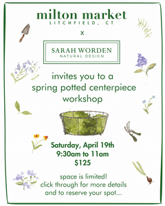 Sarah Worden Natural Design spring potting centerpiece workshop