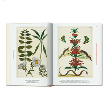 Load image into Gallery viewer, Cabinet of Natural Curiosities. 40th Ed.