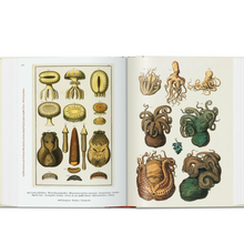 Load image into Gallery viewer, Cabinet of Natural Curiosities. 40th Ed.