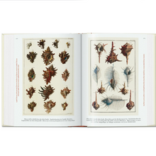 Load image into Gallery viewer, Cabinet of Natural Curiosities. 40th Ed.