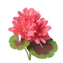 Load image into Gallery viewer, The Green Vase potted geranium