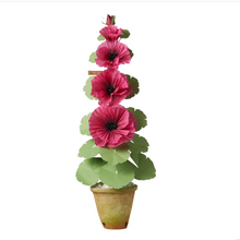 Load image into Gallery viewer, The Green Vase potted 5 bloom hollyhock