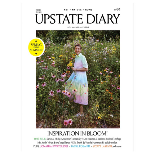 Upstate Diary magazine, no. 20