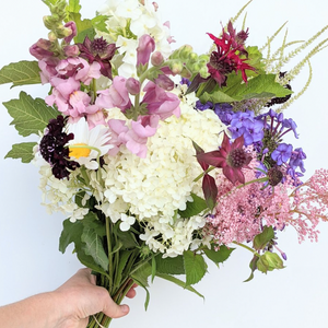 Anderson Acres MIXED BOUQUET - June 21st delivery
