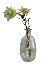 Load image into Gallery viewer, La Soufflerie &quot;amour sans anse&quot; bud vase
