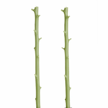 Load image into Gallery viewer, Stick Candle hickory branch beeswax candle, pair