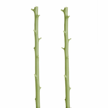 Load image into Gallery viewer, Stick Candle maple branch beeswax candle, pair