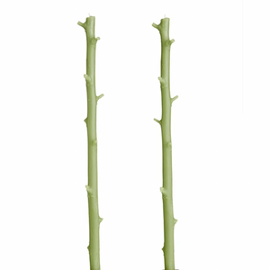 Stick Candle maple branch beeswax candle, pair